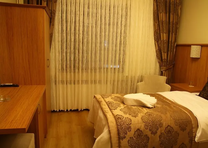 Besiktas 2* 伊斯坦布尔